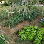 Jardin, Ideal For A Quiet Getaway, Dalmatia *