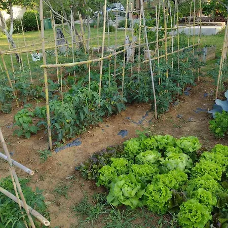 Jardin, Ideal For A Quiet Getaway, Dalmatia *