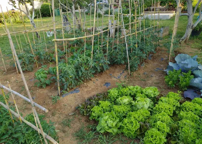 Jardin, Ideal For A Quiet Getaway, Dalmatia *